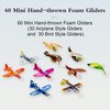 HAPTIME 60 Pcs Foam Airplanes Party Favors for Kids - Glider Planes, Paper Airplanes Kit for Ages 3-5, Bulk Toys, Goodie Bag Stuffers, Carnival Prizes in Bulk