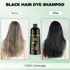 KAISASA Black Hair Dye Shampoo 3 in 1，Argan Natural Herbal Hair Color Shampoo Covers Gray Hair for Women and Men (16.9 fl.oz Black)