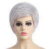 SYXLCYGG Short Silver White Wig Old Lady Wigs Wavy Synthetic 2.7 OZ Older Ladies Womens Hair Wigs Fluffy Thin and full Free Wig Cap