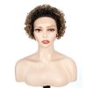 QUEEN VIRGIN REMY QVR Pixie Cut Wig 13x1 Short Curly Lace Front Wigs Human Hair HD Lace Pixie Human Hair Wigs for Black Women Glueless Wigs Ombre Honey Blonde T1B/27 Color