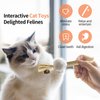 YWAOOH Catnip Toys with Silvervine for Cats, Cat Chew Toy for Kitten Teething, Interactive Cat Toy for Indoor Cats, Silvervine Sticks Cat Toys