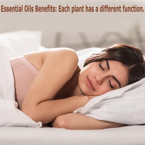 Sandalwood Essential Oil Organic Plant Natural Pure Sandalwood Oil for Diffuser, Cleaning, Home, Bedroom, Perfumes, Humidifier, Soap, Candles 2 Pack 10ml