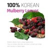 Ssanggye Wild Mulberry Leaves Tea 1.0g X 40 Tea Bags, Premium Korean Herbal Tea Hot Cold Caffeine-free Herb Savory 4 Seasons Great Daily Drink Made in Korea