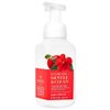 White Barn APPLE HIBISCUS Gentle Foaming Hand Soap 8.75 Fluid Ounce