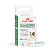 Royal Canin Probiotics for Cats Digestive and Immune Health Powder Supplement for Cats of All Ages, 7 Count