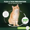 TriOak Flea and Tick Prevention for Cats: Flea & Tick Topical for Cats Over 1.5lbs, 6 Dose Flea and Tick Control/Prevention for 6 Months (6 Pack)