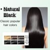 Botanical Bubble Hair Dye - Natural Plant Formula, Chestnut Brown, 20ml, 10 Packs/Box