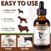 Turkey Tail Mushroom for Dogs, Mushroom Blend, Turmeric & Probiotic for Immune, Digestive & Joint Support, Turkey Tail for Dogs, 60ml