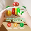 Baby Piano Toys Musical Toys - Interactive Mushroom Baby Piano Toys for 6 9 12 18 Months Musical Instruments for Toddlers 1-3 Cause and Effect Toys for Boys Girls Infant Sensory Montessori Gift