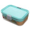 PackIt Mod Lunch Bento Food Storage Container, Mint Green, Shatterproof Crystal Clear Base, with Leak-resistant Dividers and Lid, Microwavable, Dishwasher Safe, Perfect for Meal Prep