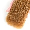 Honey Blonde Bundles Color #27 Curly Human Hair Bundles Brazilian Virgin Hair Color #27 Bundles Human Hair Honey Blonde Kinky Curly Bundles Hair Weave 16 18 20 Inch