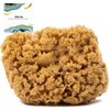 Naroa Massage Natural Shower Sponge | Unbleached Body Scrubber Puff | Bath Sponge for Healthy Skin | Eco Friendly Sustainable Sea Sponge (Massage - Small)