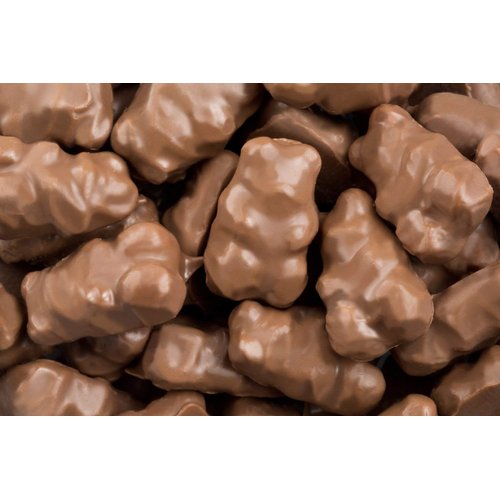Milk Chocolate Covered Gummy Bears 1 One Pound Bag