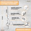 Professional Hair Thinning Scissors, Silver 6.5 Inch Stainless Steel Hair Cutting Scissors, Salon and Home Use Thinning Shears Comes with Elegant Carrying Travelling Pouch.