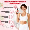 Liposomal Berberine HCL Supplement Liquid Drops 1500mg, Berberin with Ceylon Cinnamon, Bitter Melon, Turmeric, Glucomannan, Moringa, Berberine Phytosome for Digestion System, Immune Health Support