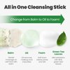 [K-Beauty] NEOGEN DERMALOGY Makeup Remover Cleansing Stick with Green Tea Extract and Leaves - Hydrating Travel Size Essential (Real Fresh Cleansing Stick Green Tea)