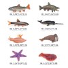 Fantarea Ocean Sea Animal Figures Model Playsets 8 PCS Salmon Walrus Narwhal Starfish Slug Figurine Party Favors Supplies Cake Toppers Decoration Gifts Collection Toys for Kids Boys Girls
