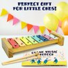 MINIARTIS Baby Musical Instruments - Montessori Musical Toys for Toddlers 1-3 | Neutral Colors Wooden Percussion Set | Modern Boho Xylophone for Kids with 15 Songbook, Preschool Educational Toys