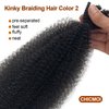 Springy Afro Twist Hair Color 2 Darke Brown Kinky Braiding Hair Extensions for Passion Twist Hair #2 Spring Twist Hair for Soft Locs 16 Inch 3 Packs Marley Twist Braiding Hair