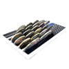 6 Rows American Flag Coin Holder - Thin Blue Line Military Challenge Coin Display Stand - Coin Display Case