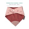 Cheeky Chompers 2-in-1 Baby Dribble Bib With Soft Silicone Teether, Reversible Bandana Style, Innovative Dimple Design Soothes Gums, 3-Layer Absorbency (Rainbow Rose Neckerchew)