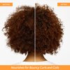 Function of Beauty Customizable Shampoo & Conditioner for Coily Hair, 11 oz Each - Sulfate-Free, Flaxseed Oil Nourishes & Hydrates Coils & Curls, & Jamaican Black Castor Oil Moisturizes & Revives