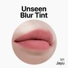 Oddtype Unseen Blur Lip Tint Long-Lasting Stain, Blendable 3.2g 321-JAYU
