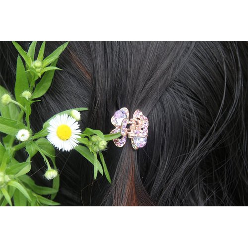 Yeshan Rhinestone and Crystal Metal Jaw Claw Hair Clip,Small Butterfly Design Barrettes for Women,pack of 6.