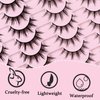 Losha Manga Lashes Natural Look Wispy False Eyelashes 20 Pairs 2 Styles Mixed Soft Fake Eye Lashes Pack Vegan Asian Anime Eyelashes (20P-Manga)