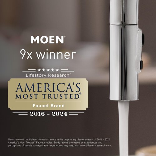 Moen 9601 ChoiceFlo Replacement Water Filter Compatible with Moen Sip Filtered Kitchen Faucets
