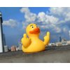 DS. DISTINCTIVE STYLE Middle Finger Rubber Ducks 2 Pieces Yellow Rubber Duck 2.95 Inch Funny Car Ornaments Duck for Car Dashboard Decoration, Computer Monitor Decor