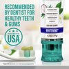 GuruNanda Hydroxyapatite Toothpaste, SLS & Fluoride Free, Whitening Toothpaste - Freshens Breath, Fights Plaque - Natural CocoMint Jasmine Neem, 4.2oz