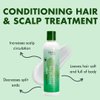 EDEN BodyWorks Peppermint Tea Tree Conditioner | 8 oz | Refresh & Soothe Scalp, Moisturize & Detangle Hair - Packaging May Vary
