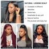 Beauhair Lace Front Wigs Human Hair 4x4 Lace Closure Wig Straight Human Hair Wigs for Black Women, 150% Destiny Brazilian Virgin Pre Plucked With Baby Hair Natural Black (12 Inch, Straight Wig)