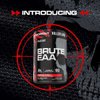 KILLER LABZ Brute EAA Branched Chain & Essential Amino Acids | 6g of Aminos to Accelerate Recovery and Lean Mass Gains 60 Servings (Furious Punch)