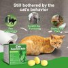 Natural Peppermint Cat Repellent Balls, Outdoor & Indoor Cat Deterrent to Protect Gardens, Keep Cats and Dogs Out of Patio and Yard, 10 Packs