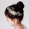 PRDGIRL Flower Wedding Hair Comb for Girls Crystal Pearls Floral Princess Bride Hair Accessories Headpiece for Bridesmaid Women First Communion (Gold)