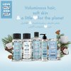 Love Beauty And Planet Shampoo, Coconut Water and Mimosa Flower, 13.5 fl oz (400 ml)