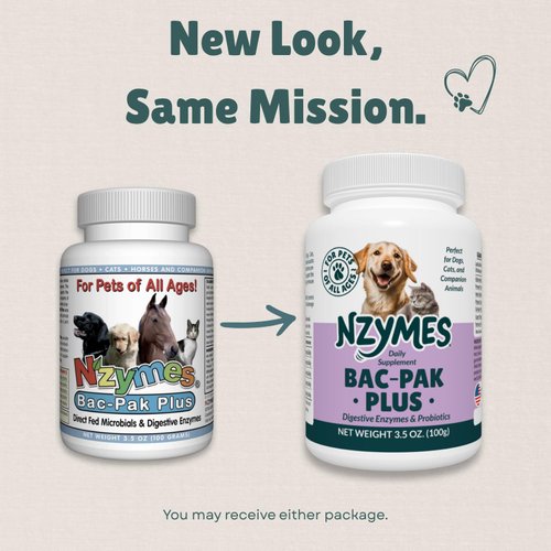 Nzymes® Bac-Pak Plus 100 Grams Digestive Enzymes and Probiotics for Digestion, Loose Stools, Diarrhea, Constipation, Improved Nutrient Uptake - Made in The USA