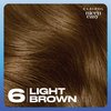 Clairol Nice'n Easy Permanent Hair Dye, 6 Light Brown Hair Color, Pack of 1