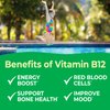 VitaWorks Kids Vitamin B12 1000 mcg Chewable Tablets - Tasty Natural Cherry Flavor - Vegan, GMO-Free, Gluten Free, Nut Free - Dietary Supplement - Cellular Energy Vitamins for Children - 120 Chewables