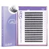 GAQQI Lash Clusters, GQ19 Individual Lashes 168pcs D Curl, DIY Lash Extension 12mm Length Only False Eyelash Clusters, Natural & Wispy Lash Wisps (GQ19,D Curl,12mm)