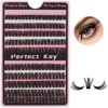 Perfect Key 200 Clusters Natural Look Eyelash Extensions Wispy Lash Clusters D Curl Cluster Lash Extensions 10-18mm (100D-200 Black)