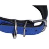 Dogs My Love Real Leather Extra Wide Padded Tapered Dog Collar (11"-13" Neck; 2" Wide, Blue)