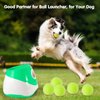 MEKAPLE 12 Pack Mini Tennis Balls for Pet Playing Fecth, 2 inch Dog Training Tennis Balls for Small Size Dogs, Interactive Dog Playing Balls Fits 2 inch Automatic Dog Ball Launcher