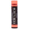 Burts Bees 100% Natural Origin Tinted Lip Balm, Zinnia with Shea Butter & Botanical Waxes - 1 Tube