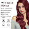 Fedulili Hair Dye Shampoo 3-in-1 Champu Para Canas Mujer, Instant Wine Red Herbal Burgundy Hair Color Treated Shampoo, Long Lasting Easy to Use, for Women Men Christmas Gift, 500ml