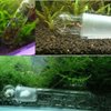Planaria Trap Catch Trap Leeches Catcher, Aquarium Supplies Clear Glass Planarian Leech Trap Tube Catcher 3 Holes for Cherry Shrimp Crystal Red Shrimp Dwarf Shrimp