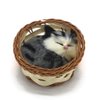 Coolayoung 2Pcs Sleeping Cat in Basket Doll Toy, Mini Kitten in Woven Basket with Meows Sounds Decor for Office Desk Hand Toy Gift for Kids Boys Girls
