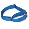 Guardian Gear Nylon Martingale Dog Collar, Fits Necks 14" to 20", Blue